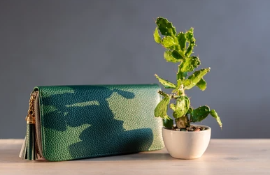 Vegan Leather is the Future: Ethical, Stylish, and Earth-Friendly